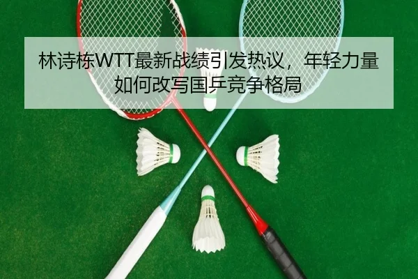 林诗栋WTT最新战绩引发热议，年轻力量如何改写国乒竞争格局
